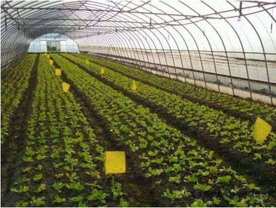 园艺业是农业种植业中的重要组成部分,发展前景广阔_生产