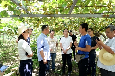 西北农林科技大学园艺学院